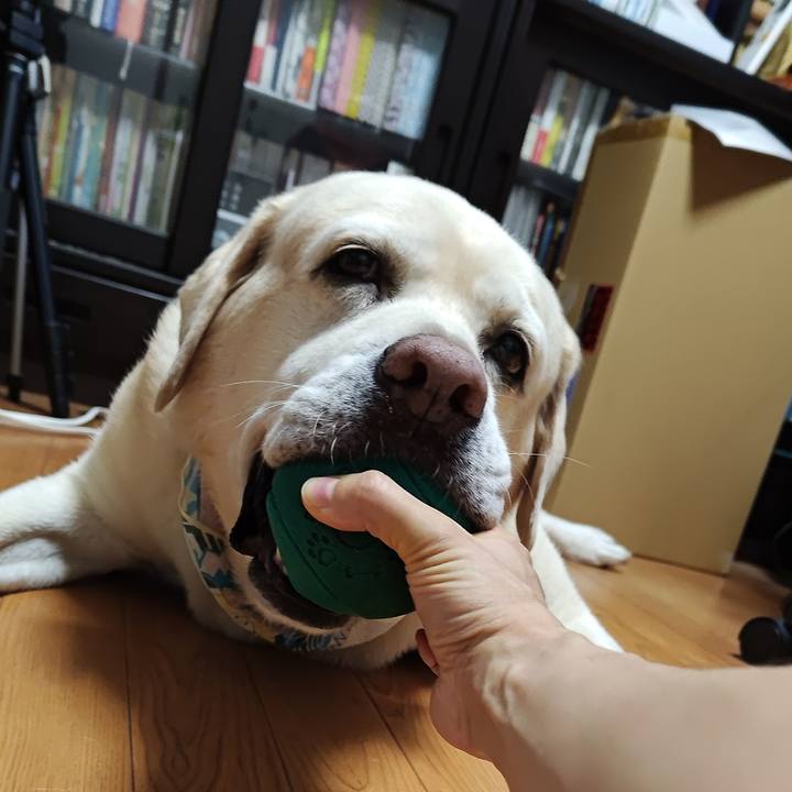 607b1c05 3573 414f bc50 1fb0cf76d77e 1756605993872