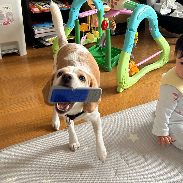 607b21fd 9225 4d2e 896b aeeac177e46c 1712896626447