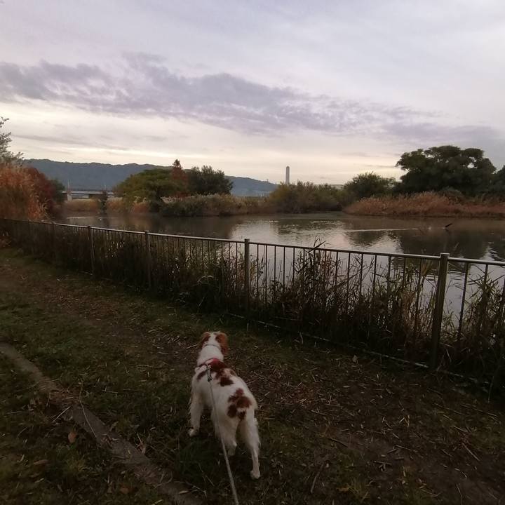 607b24f7 a6f0 4af8 9a43 109174ad0565 1574382081194