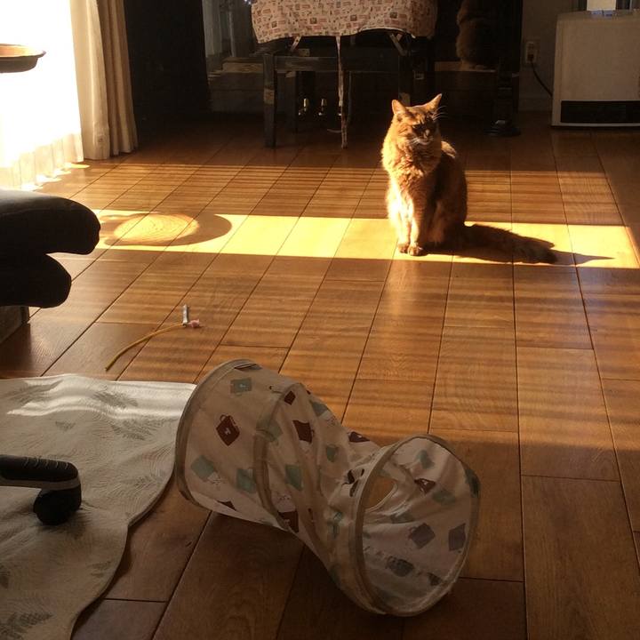 607b894d 49b0 496b 9260 7d4a9d12e8a6 1613447772477