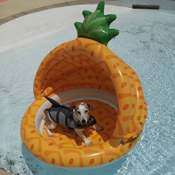 607b9b85 c327 496c aa01 36ad5f51674f 1758687507836