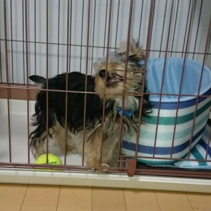 607bc9ca 1816 4b56 a4f1 3294574fbc0a 1512950137858