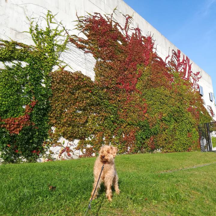 607bcf73 4c4f 42dc a1b6 1f27e8db71ec 1536966717886