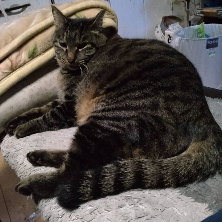 607bd9ed aa0e 42d7 93da 14e99f9f6769 1671487261280