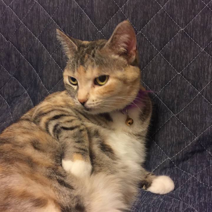 607beaab 5325 4d46 a659 e73428fc67f1 1558885437341