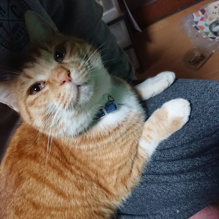 607c2b70 2c47 4011 9f4f aba32673ca0a 1607506613267