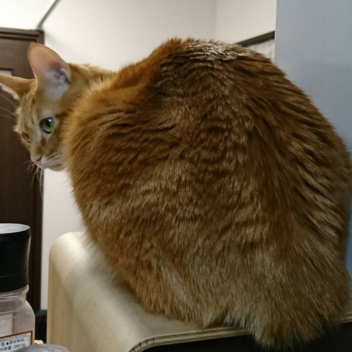 607c8ce8 d109 4a11 928b 61a0a6db264b 1517919939797