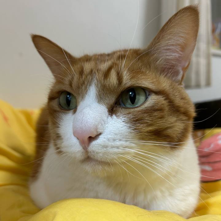 607cdaeb 7107 4c18 8b4a 391a1429bff8 1764501967591