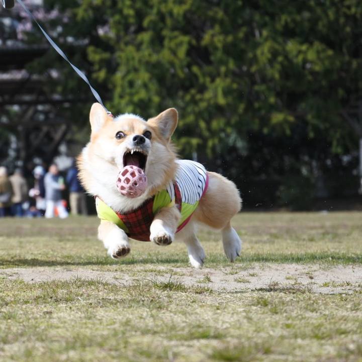 607cf246 8d6b 4af7 985a 446b158ca1e8 1554775162358