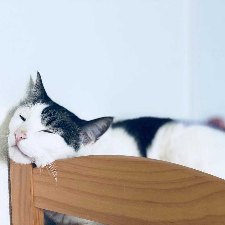 607cfeba 2584 46cf a186 863b6ce42fb9 1559613538863