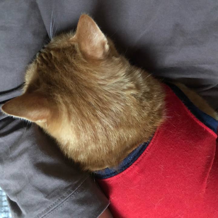 607d11ca 6f4a 49f0 ab87 21ff146a691e 1635803971411