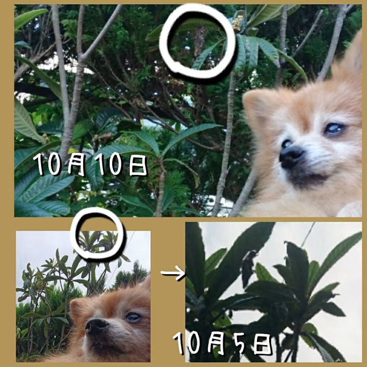 607d2eb9 54a7 4f52 b375 55f2fce5b0b9 1570804324078