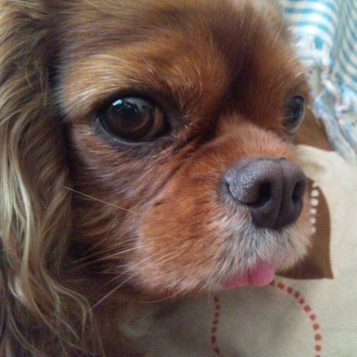 607d60f5 dda1 4452 9588 81a978b9e76b 1518784932593