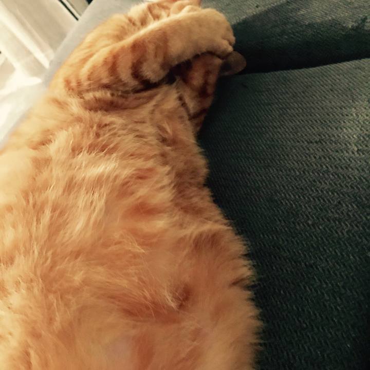 607d65af e2c5 4711 a57e 533d027807f2 1599047121158