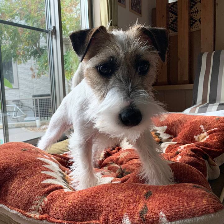 607d72ae e6a5 4ba1 a86c bf48c7526c29 1579168809318