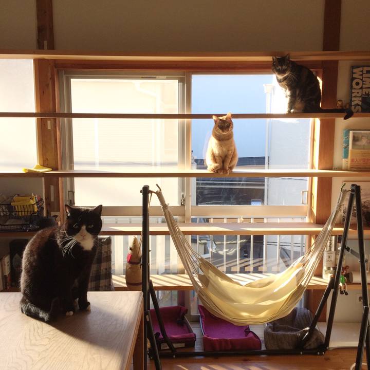 607d7ca7 9e0a 4b58 8ae4 bf99cd2a5991 1546213919043