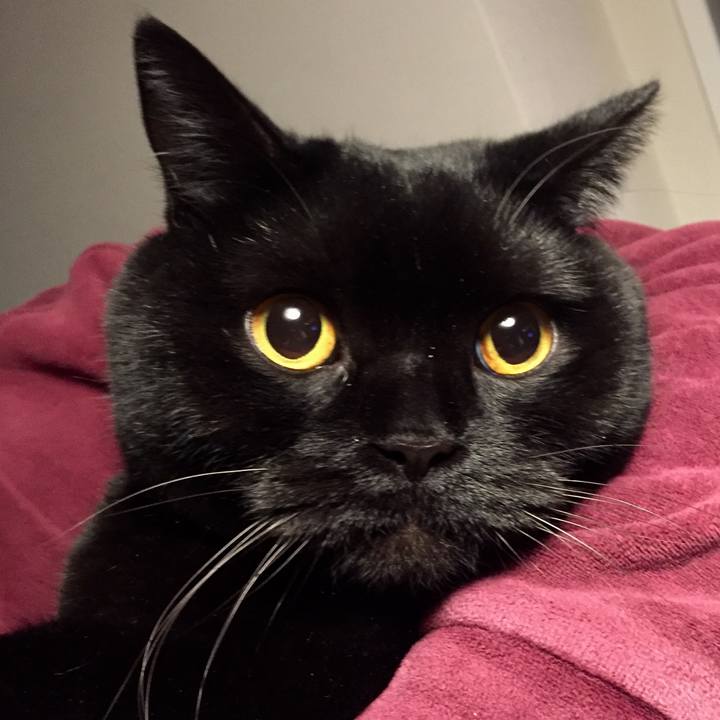 607d86e7 5b9f 4709 9235 e54985d936cf 1581510768869