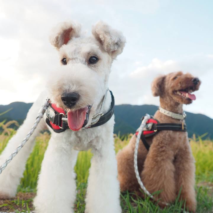 607d8de5 5021 4ddb 9551 1e44992da494 1568007023823