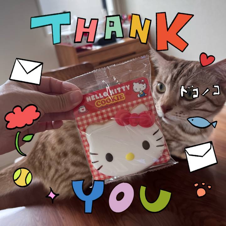 607dccd1 ce54 48fc 9e24 10af3bd46027 1715051453836