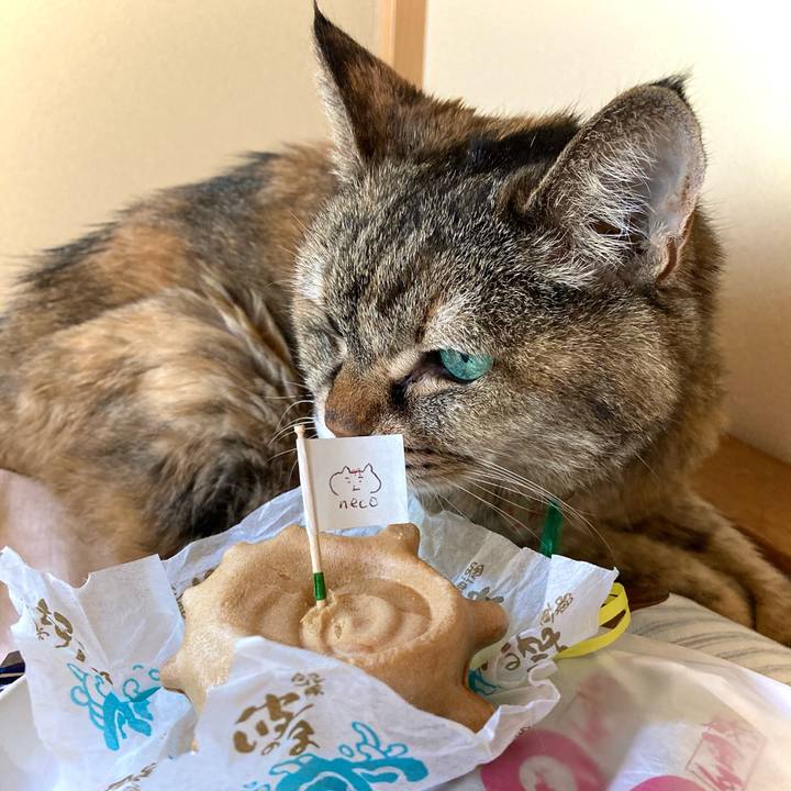 607ddf7f f40e 4144 8962 8647bf92a68e 1628385731250