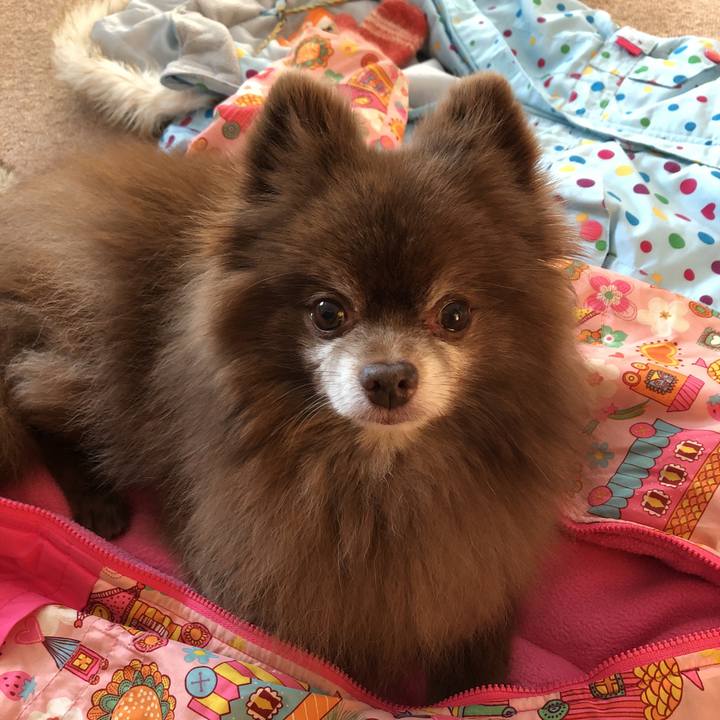 607de1e4 c568 429e 841a 41eb90b2027a 1610923765678