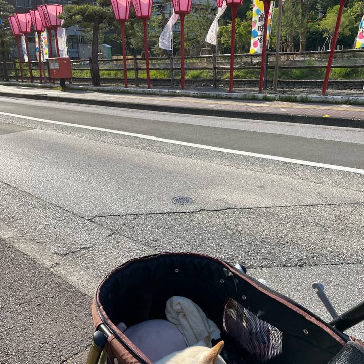 607de370 26af 4535 8bd9 78921c11dc90 1651575301014