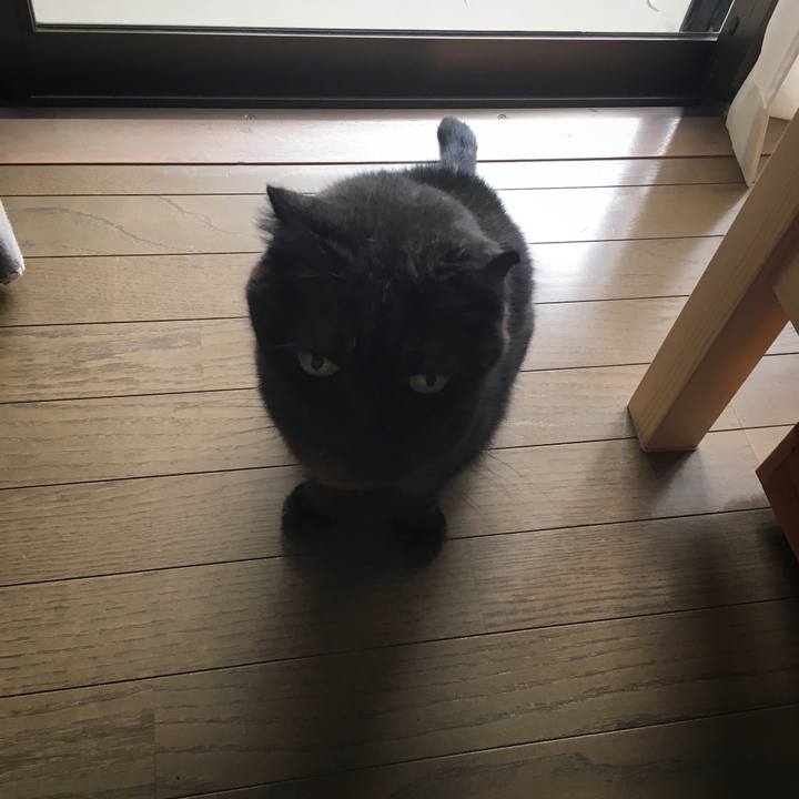 607e0714 4b0b 4eab 9a4d 0a3455cbfa64 1528942110877