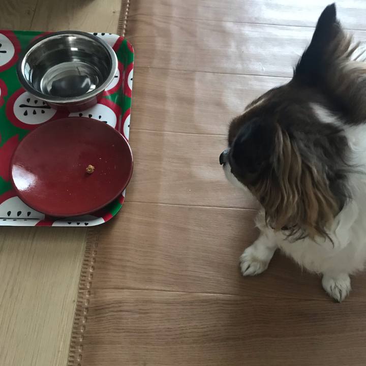 607e264e 41db 4ab1 8c47 f7b9b872c131 1586306157822