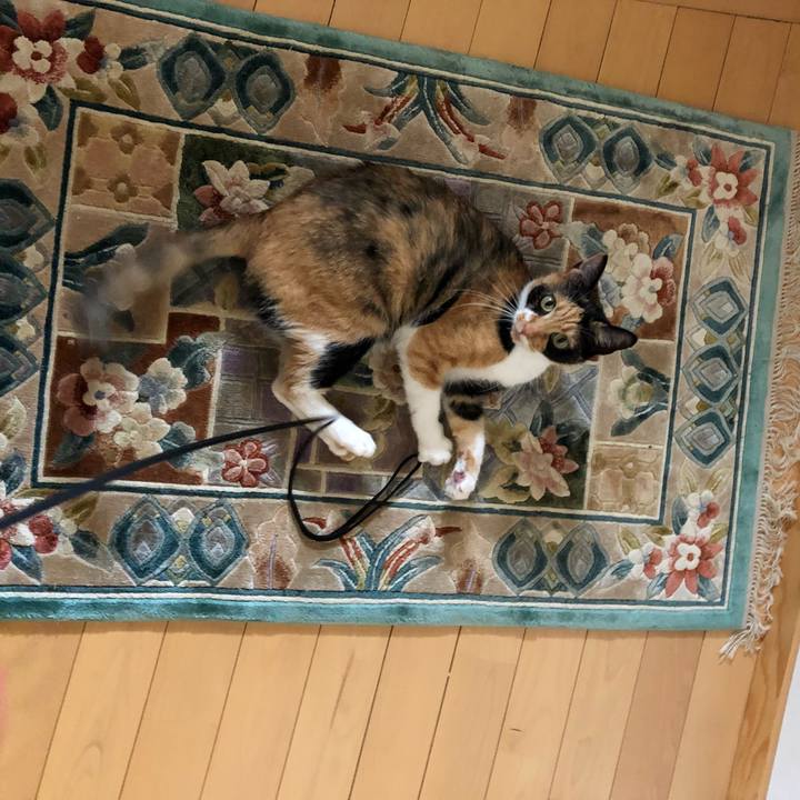 607e485a 6db9 4b99 8e8b 95ad210b41cd 1531356808812