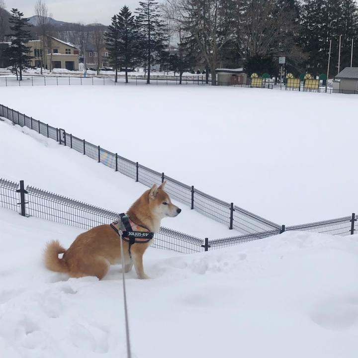 607e4877 f67e 49d6 96cf 112b016ccc9f 1550537450317