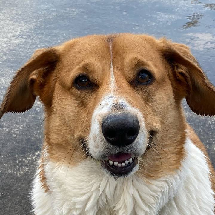 607ed8bf 1e99 4f2a 9405 537eed8a4261 1711976175345