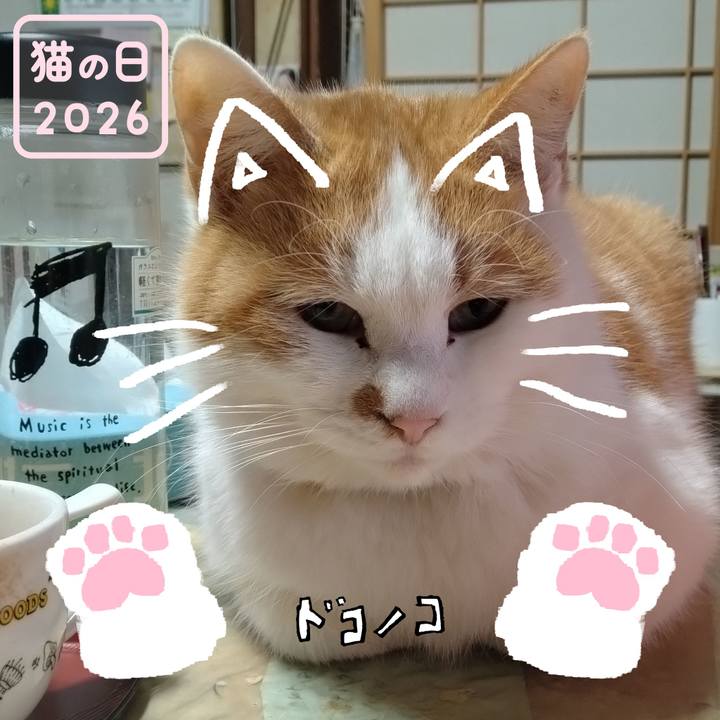 607ee7d7 c194 46f1 8b72 c317aa88d890 1771723729869