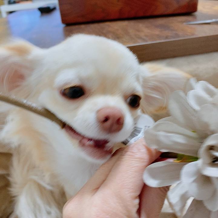 607ef59a 257c 4b21 9771 3f99dfc2789a 1613174734552