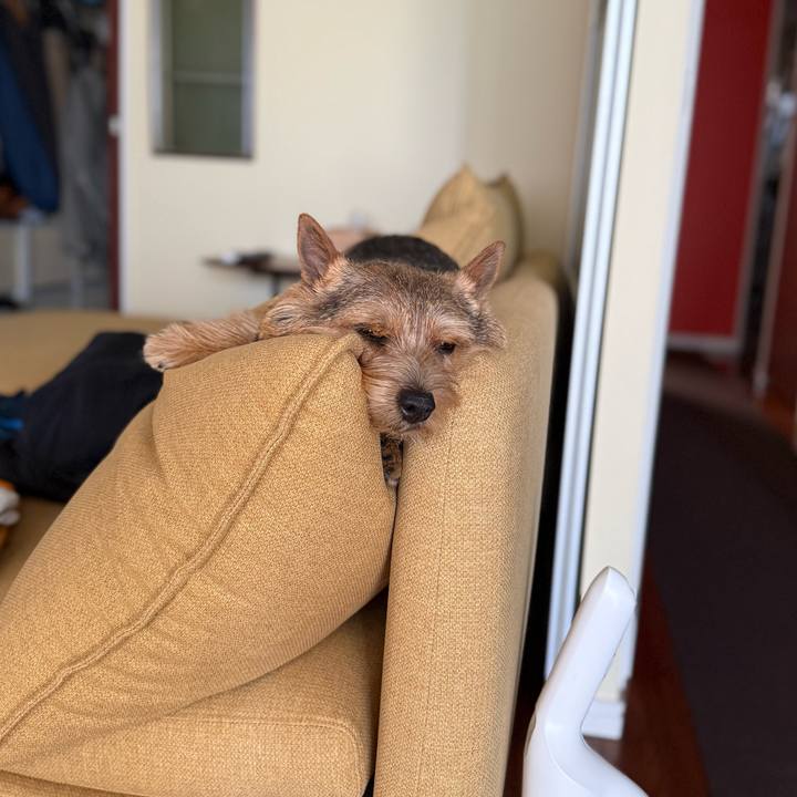 607f07e3 7469 41d1 a3f0 45d63b44fd8b 1769952416099