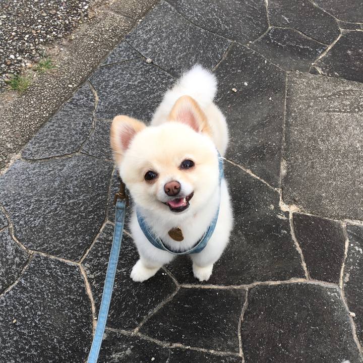 607f0d5b fceb 412e 9775 aa97e8a4488e 1593249719502