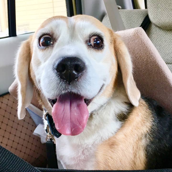 607f2b25 ec4f 45c7 9003 2e3661d01d62 1545056486570