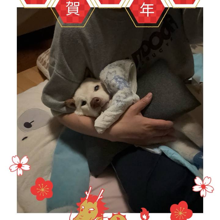 607f494f 6ab3 49df b5a0 57bcd3c9fefb 1704038612981