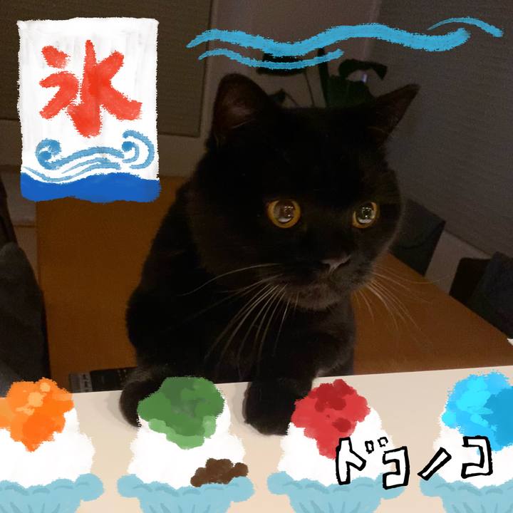 607f524e 4079 497c 8020 408442d09959 1723464373634