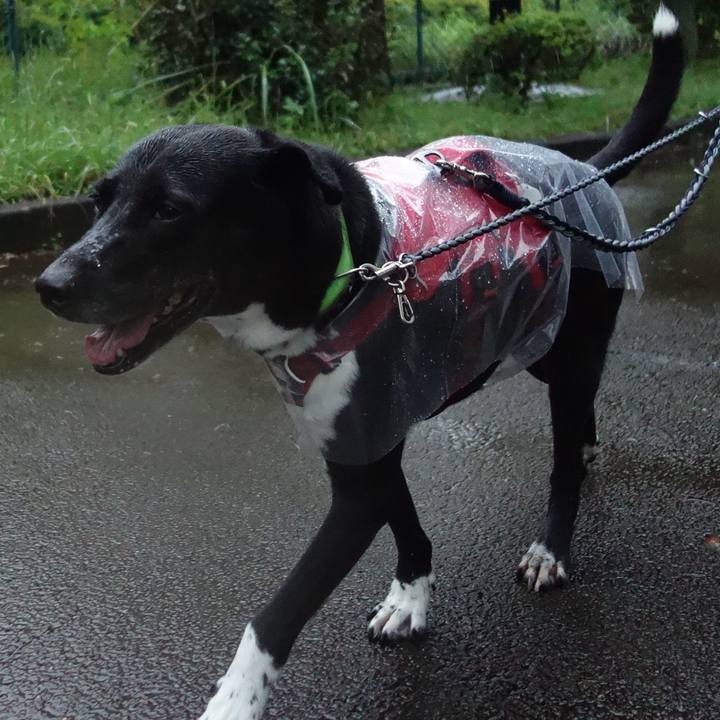 607fb964 e834 4f6a 98aa b3725b22c912 1633045348369