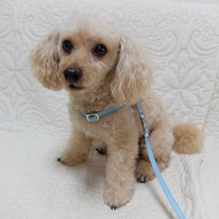 607fc1cb 59a4 43cc 84be 416f82d12966 1662350091557