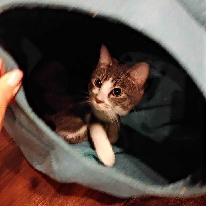 607fd1d7 9c1e 453c bde9 a19ac085e594 1574760162623