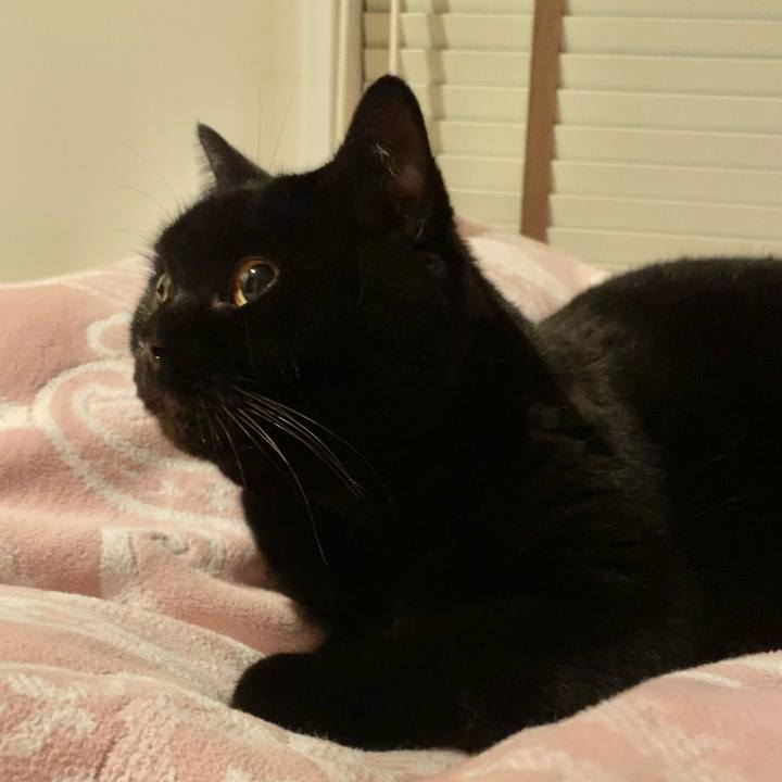 60800527 03e7 4540 a579 94f3792be9f6 1638621202912