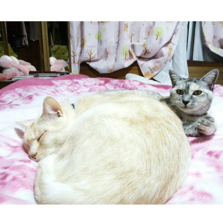 608022ae 0a50 442a 8196 f48cb7fd78e4 1511517655333