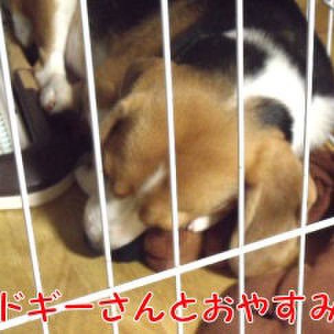 608029f5 82c0 449a ad8b ce0b815c8dc4 1695427106353