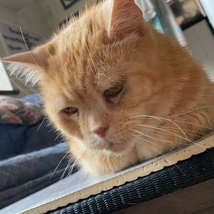 60802e91 49f0 4534 a12f 7f83e4a40440 1621317493610