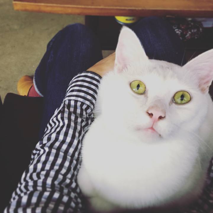 608031af 1b0a 4ca4 93fd dc6d09b91628 1537239008643