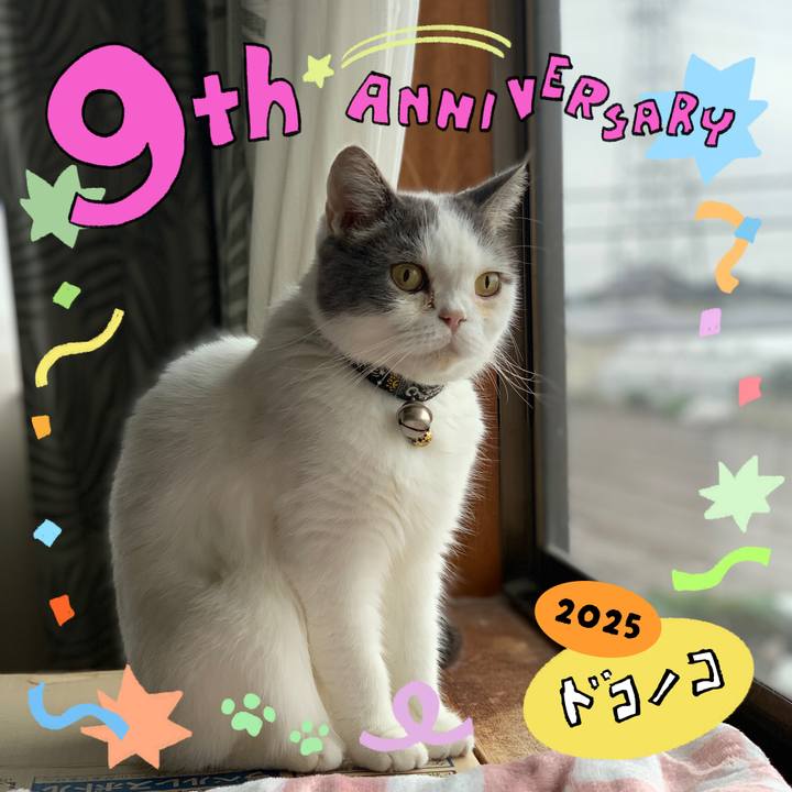 608040fa eee7 4f04 af1f 24327745b51d 1749429880247