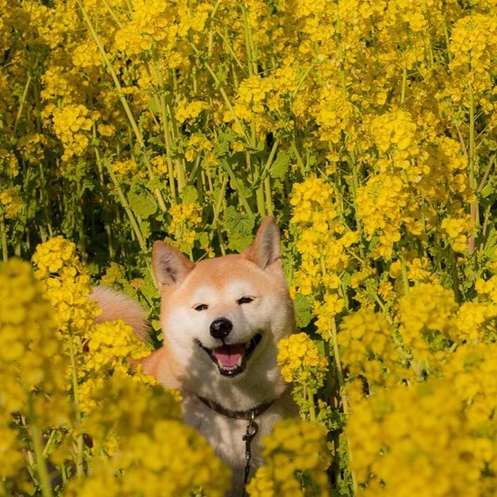 60807cc1 34f7 408e a133 657c211e5080 1551014003554