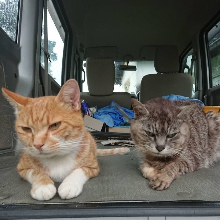 608089e9 6778 4b1f 807a 5ece07f6adda 1596876648021