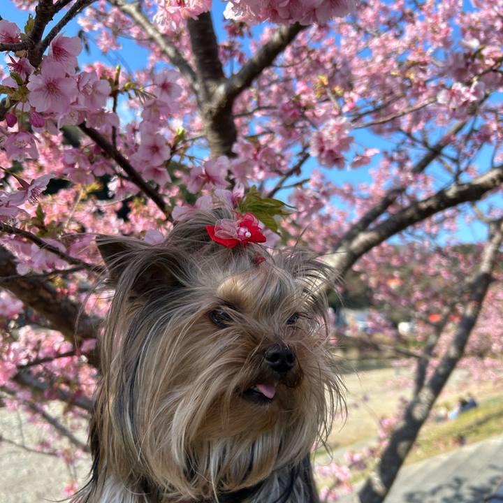 60808c8a 44c5 4466 b06c 930cf53568c0 1676698141041